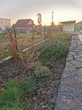 Realizácia záhrady